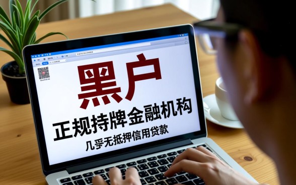 现在还有哪些黑户可以下款的口子