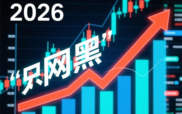 2026年实测过网黑能下的口子有哪些