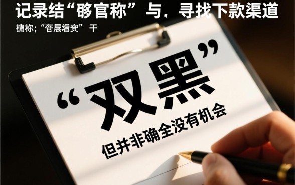 双黑可以下款的口子有哪些