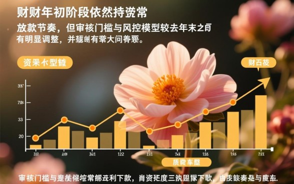 年初的口子花财最近有下款吗