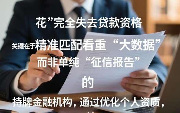 征信花了2026有下款口子吗