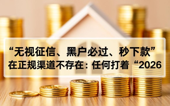 2026实测黑户烂户必过秒下款吗