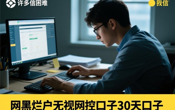 网黑烂户无视风控口子有哪些