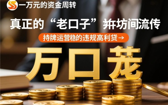 必下一万的贷款口子怎么借