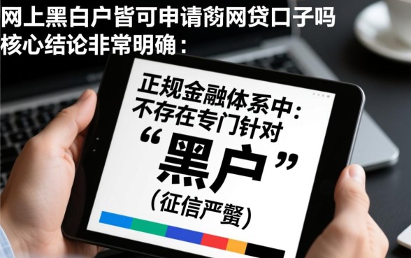 网上黑白户皆可申请的网贷口子吗