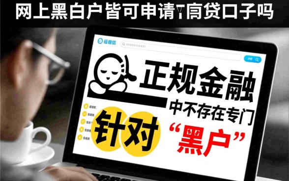 网上黑白户皆可申请的网贷口子吗