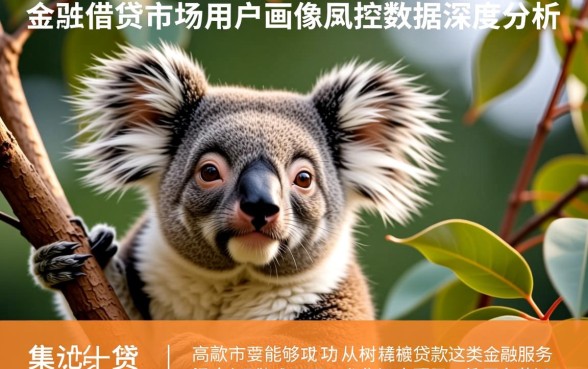 谁已经从树袋熊贷款中拿到款项了