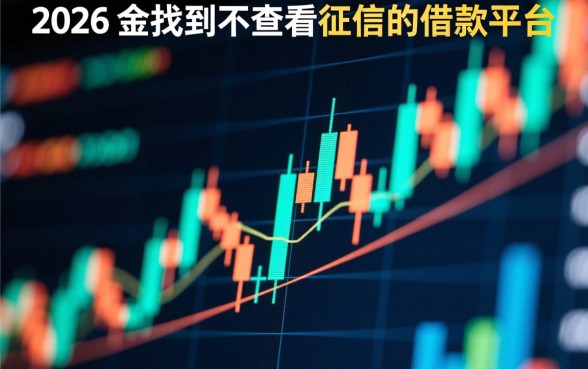 能否找到不查看征信的借款平台