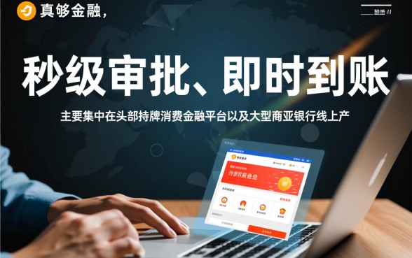 哪些网贷平台支持即时到账