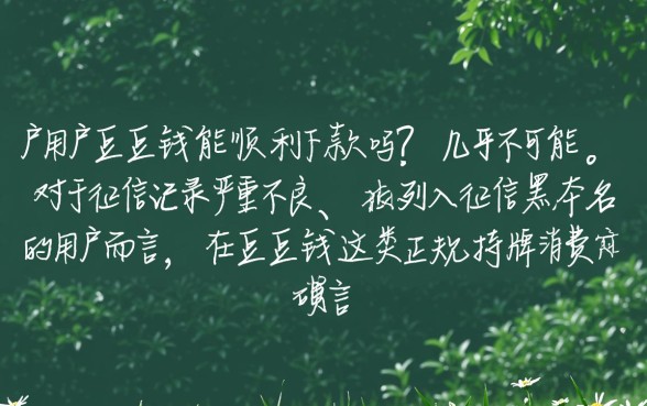 黑户用户在豆豆钱能顺利下款吗