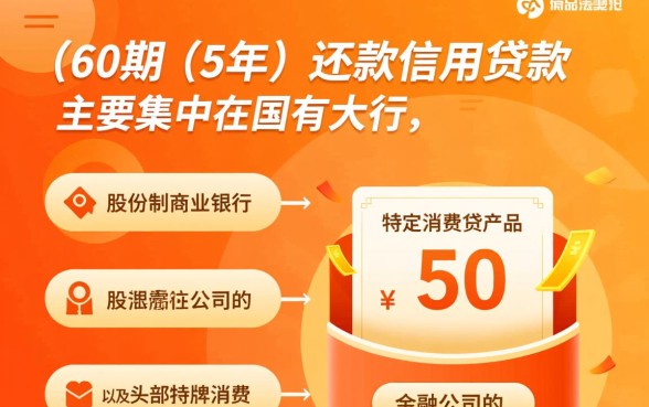 有什么信用贷款可以分60期的