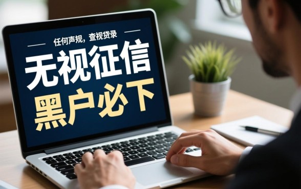 有没有什么贷款不查征信记录的