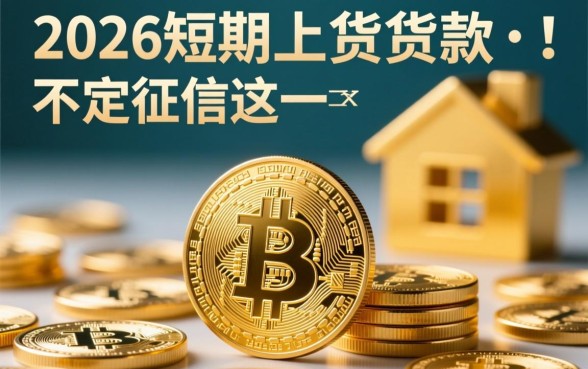 2026短期小额贷款不走征信吗