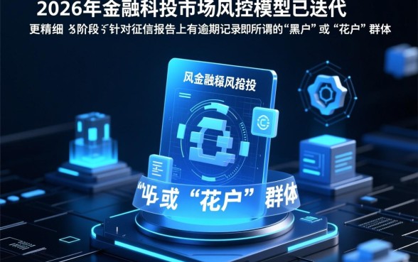 黑户什么贷款平台无视黑白审核