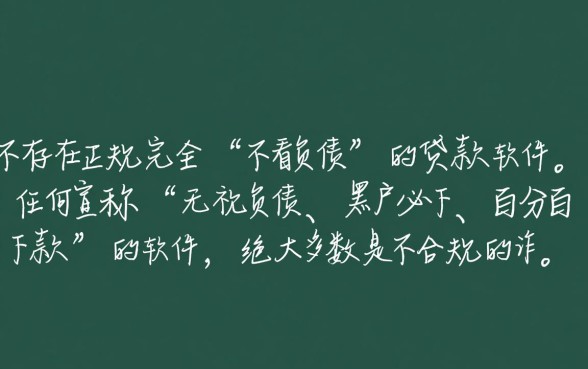 有没有不看负债的贷款软件