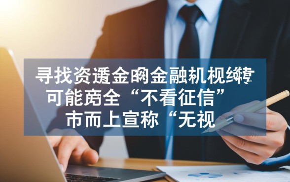 不看征信无视黑白网贷2026