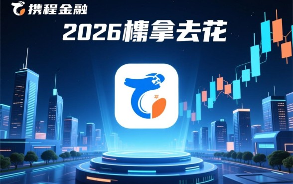 类似携程拿去花的借款口子有哪些