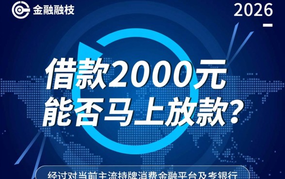 借款2000元马上放款可以吗