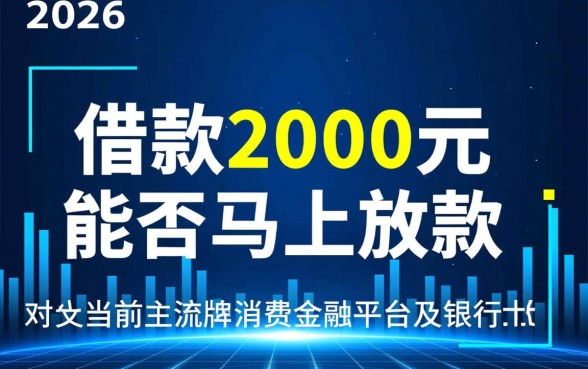 借款2000元马上放款可以吗