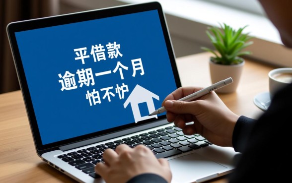 网上平台借款逾期一个月怕不怕