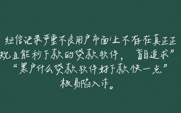 黑户什么贷款软件好下款快一点