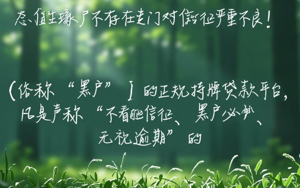 黑户微信贷款哪个平台是正规的