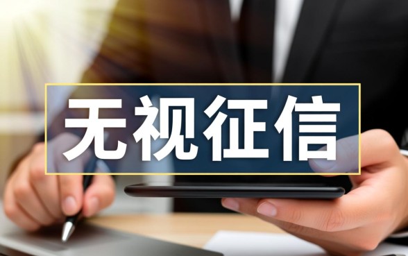 无视征信信用工作的贷款有哪些