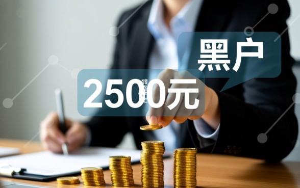 2500黑成碳也下款了的口子