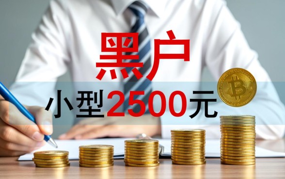 2500黑成碳也下款了的口子