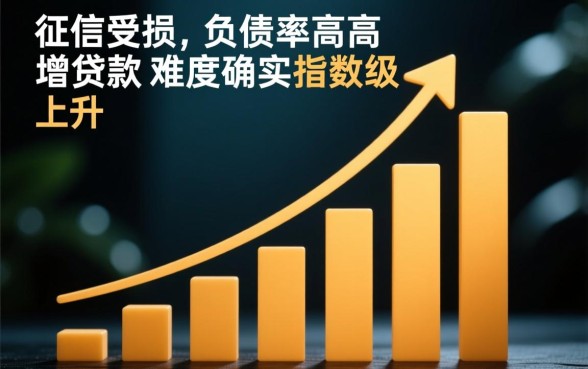 征信花了负债多能下的贷款口子