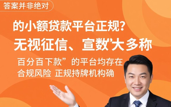 容易通过的小额贷款平台正规吗