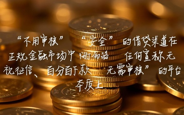 哪里可以快速借钱不用审核安全