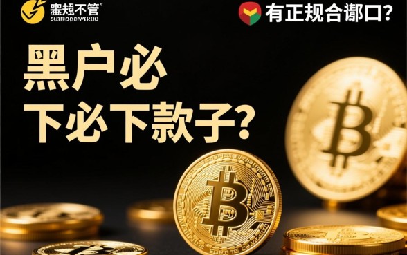 有没有不管多黑都给下款的口子