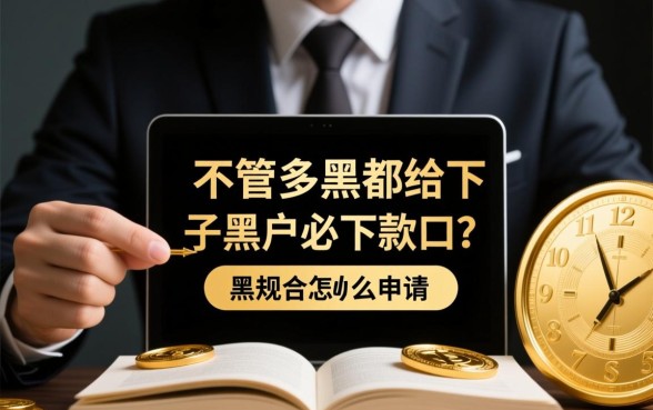 有没有不管多黑都给下款的口子