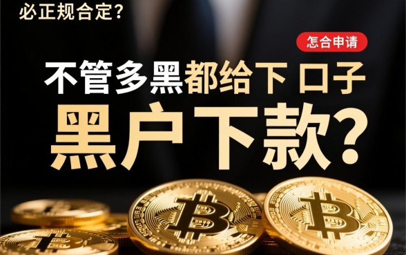 有没有不管多黑都给下款的口子