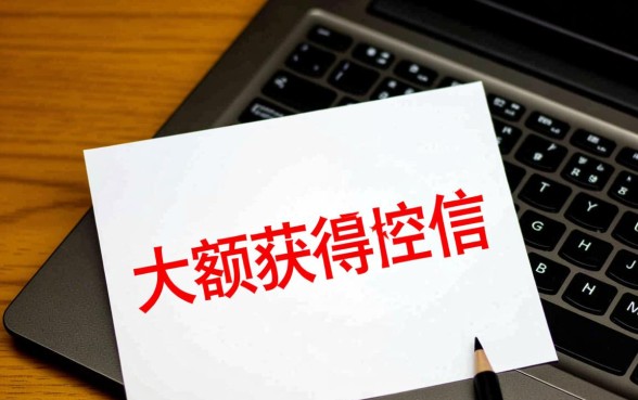 大半年就这一个大额口子下了