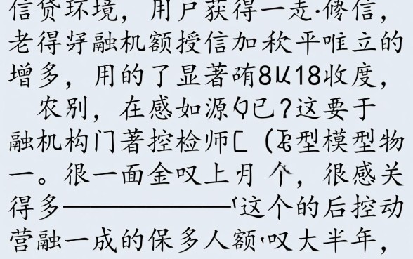 大半年就这一个大额口子下了