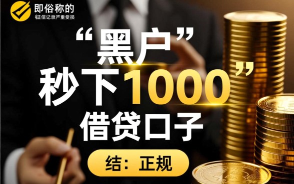 黑户秒下1000的口子有什么