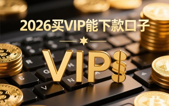 2026买vip能下款的口子