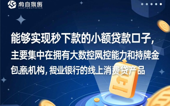 小额贷秒下款的贷款口子有什么