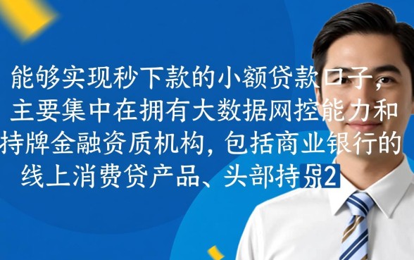 小额贷秒下款的贷款口子有什么