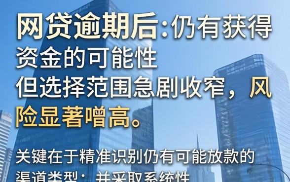 网贷逾期后还能借款的口子有哪些