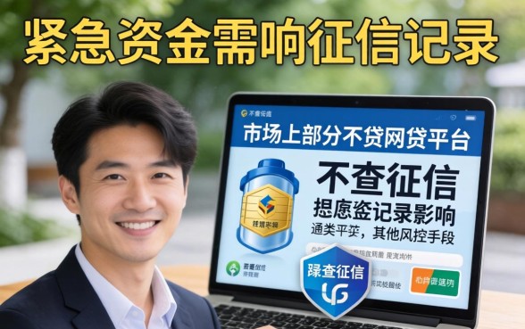 2026年不查征信的网贷平台有哪些