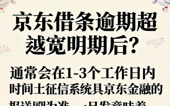 逾期多久会影响个人信用记录