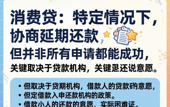 消费贷延期还款条件与流程详解