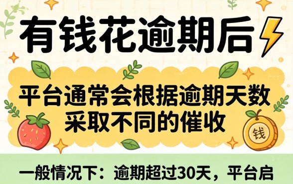 平台通常会根据用户的实际情况提供一定的宽限期或分期还款方案