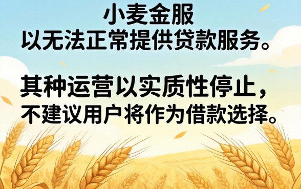 小麦金服现在还能成功下款吗