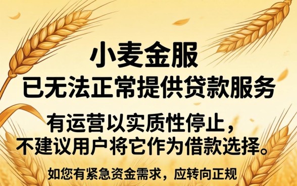 小麦金服现在还能成功下款吗