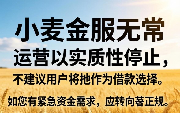 小麦金服现在还能成功下款吗