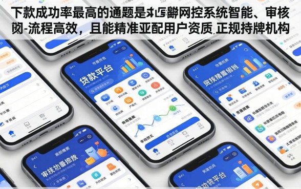 哪个贷款平台下款成功率最高